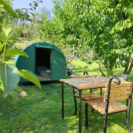 Nataly Campsite Yeghegnadzor Eksteriør billede