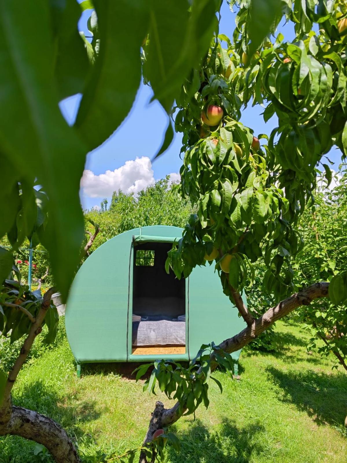 Nataly Campsite Yeghegnadzor Eksteriør billede