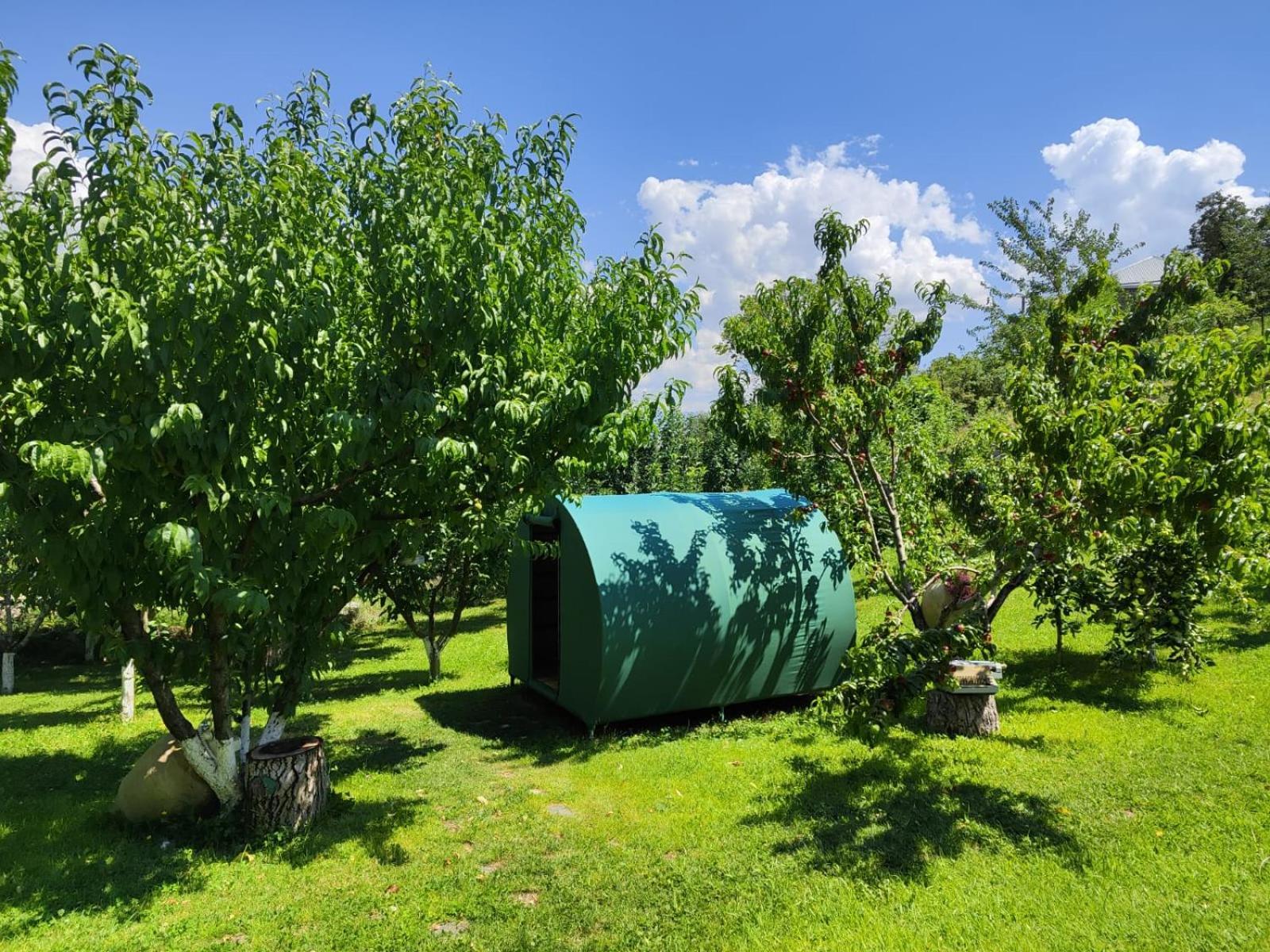 Nataly Campsite Yeghegnadzor Eksteriør billede
