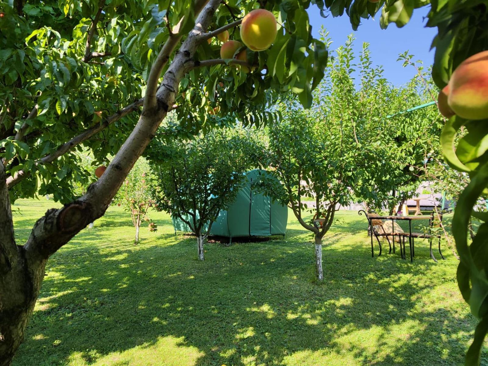 Nataly Campsite Yeghegnadzor Eksteriør billede