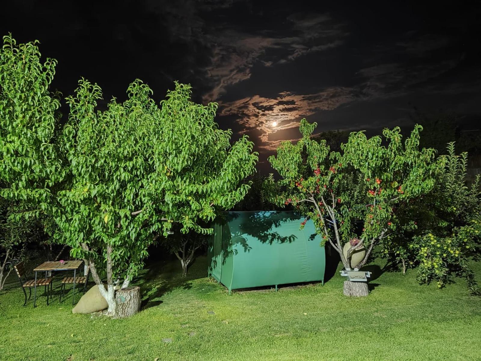 Nataly Campsite Yeghegnadzor Eksteriør billede